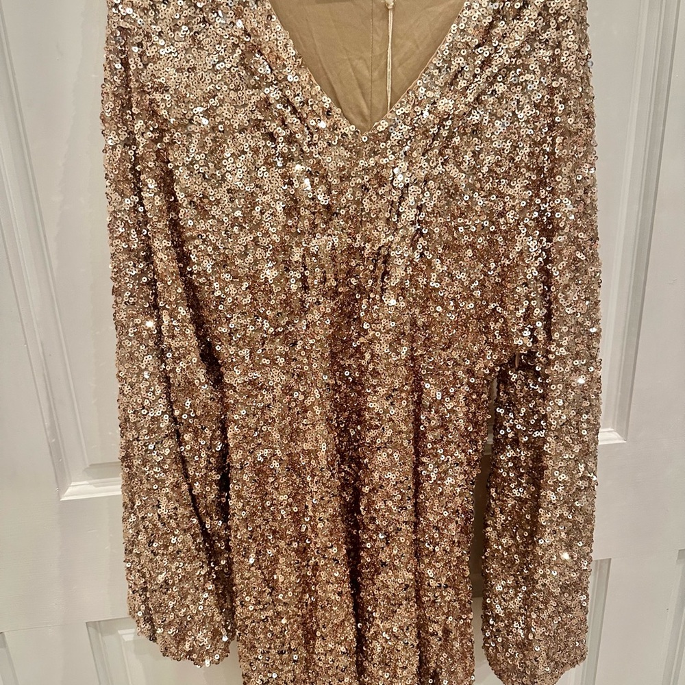 Sequin V neck Long Sleeve Top